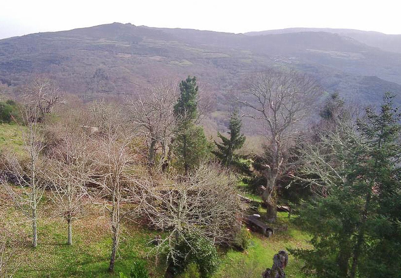 Cottage in Ourense - A Casa Dos Cregos