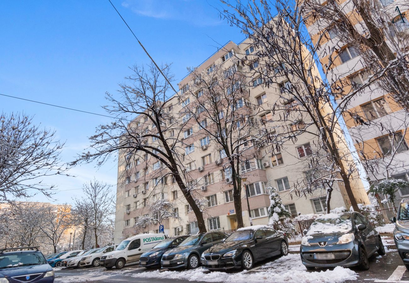 Apartment in Bucharest - Ilioara Home