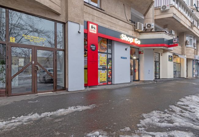 Studio in Bucharest - Rody Studio - Modern & Bright Studio in Central Bucharest Studio in Bucharest - Rody Studio - Modern & Bright Studio in Central Bucharest