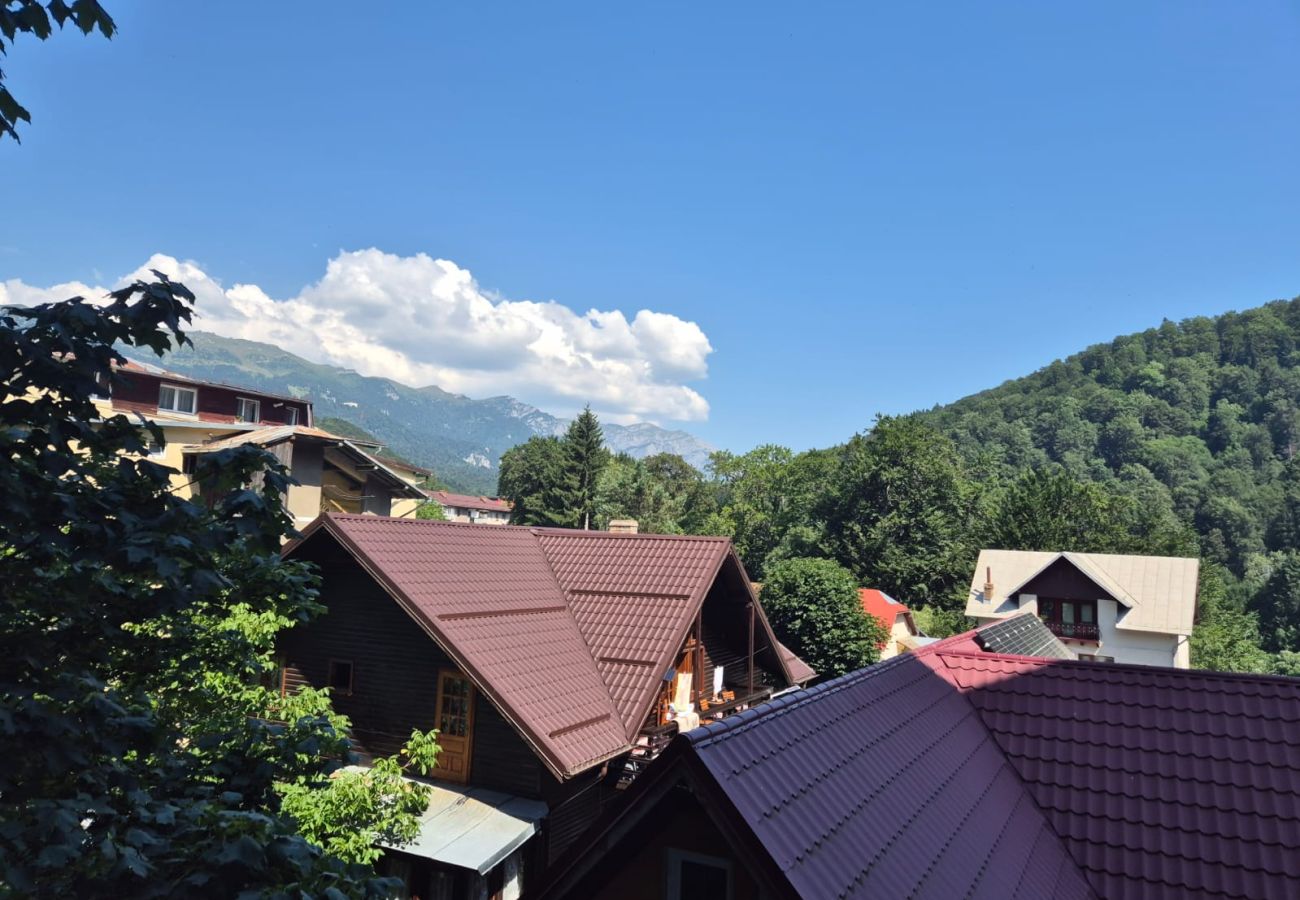 Studio in Sinaia - LUXROOM SINAIA