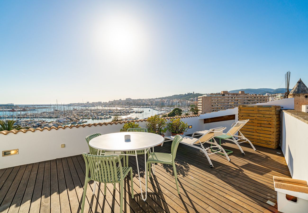 Apartment in Palma de Mallorca - CASA LEA - TERRER 6