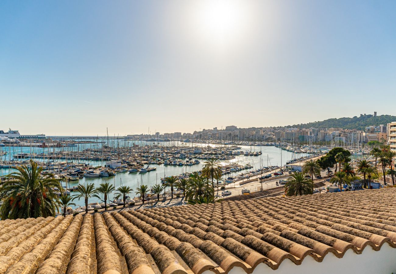 Apartment in Palma de Mallorca - CASA LEA - TERRER 6