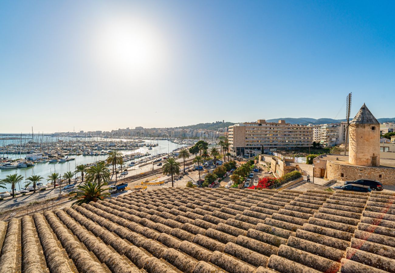 Apartment in Palma de Mallorca - CASA LEA - TERRER 6