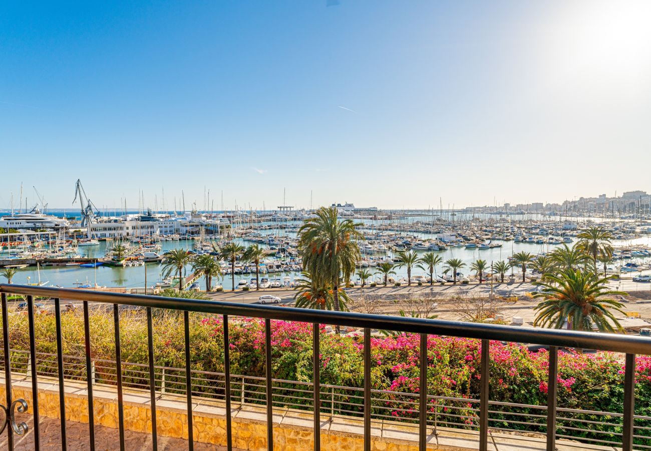 Apartment in Palma de Mallorca - CASA LEA - TERRER 6