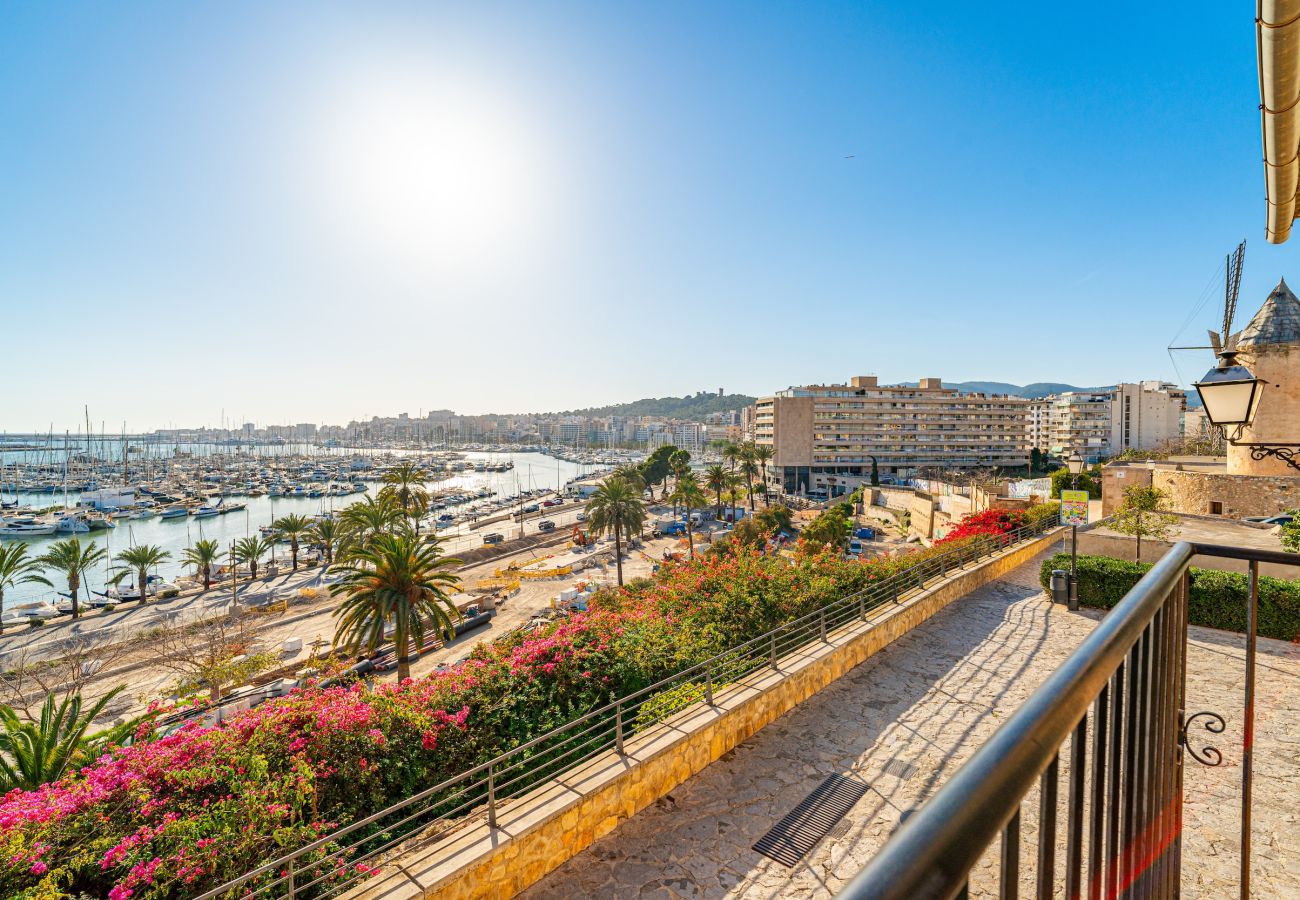 Apartment in Palma de Mallorca - CASA LEA - TERRER 6