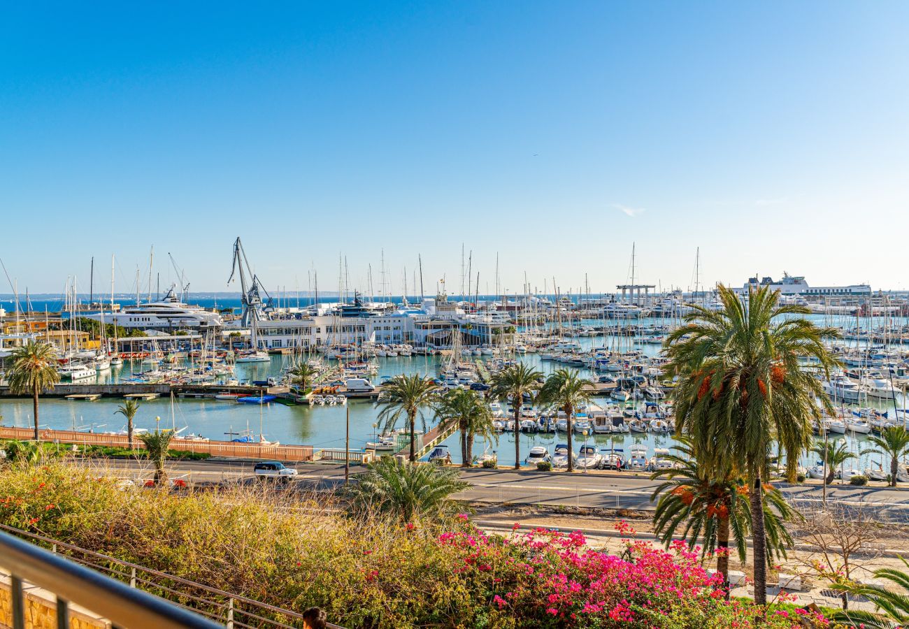 Apartment in Palma de Mallorca - CASA LEA - TERRER 6