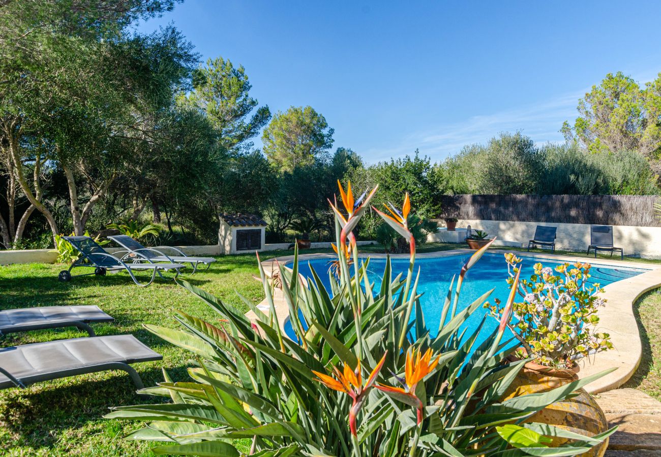 Villa in Arta - YourHouse Casa Luisa