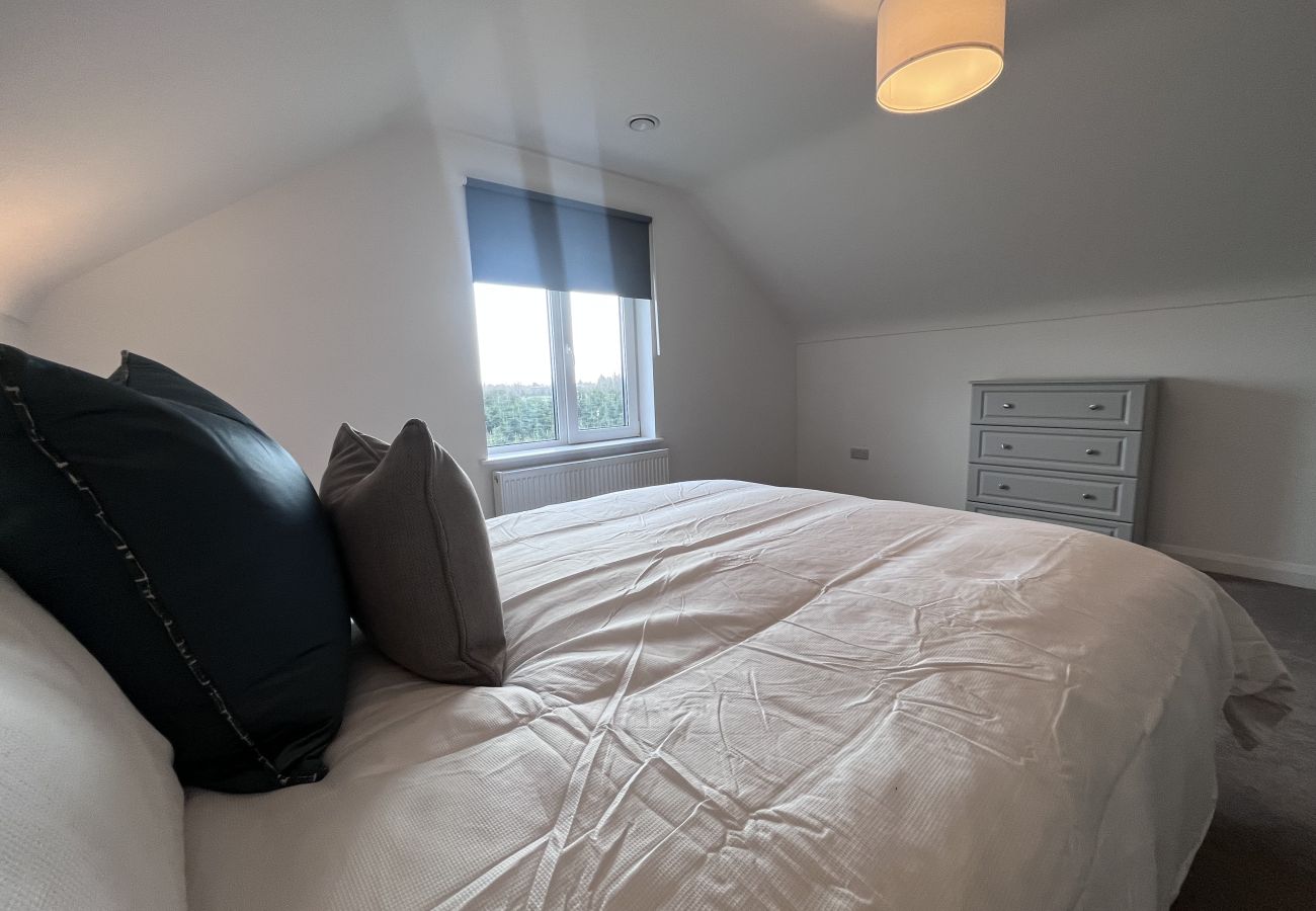 House in Dunboyne - Modern Dunboyne House