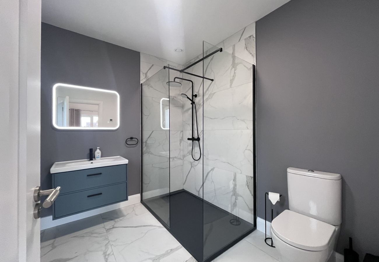 House in Dunboyne - Modern Dunboyne House
