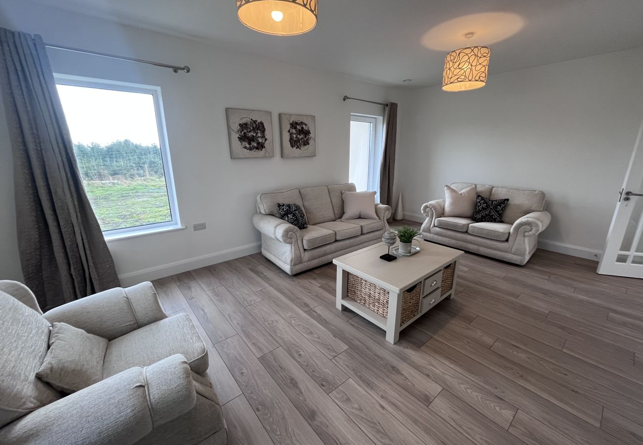 House in Dunboyne - Modern Dunboyne House