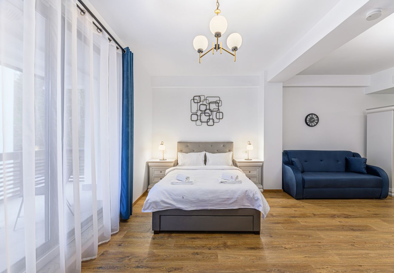 Studio in Predeal - Alpin Studio Clabucet 1