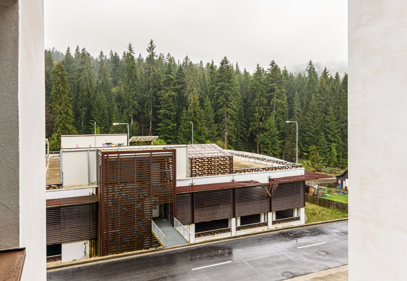Studio in Predeal - Alpin Studio Clabucet 1