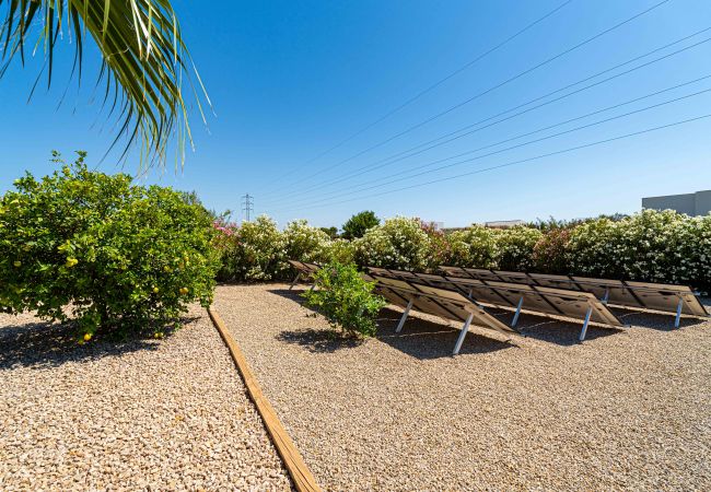 Villa in Marratxi - Villa Planera Villa in Marratxi - Villa Planera