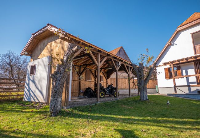 House in Dobeni - Harghita Traditional House