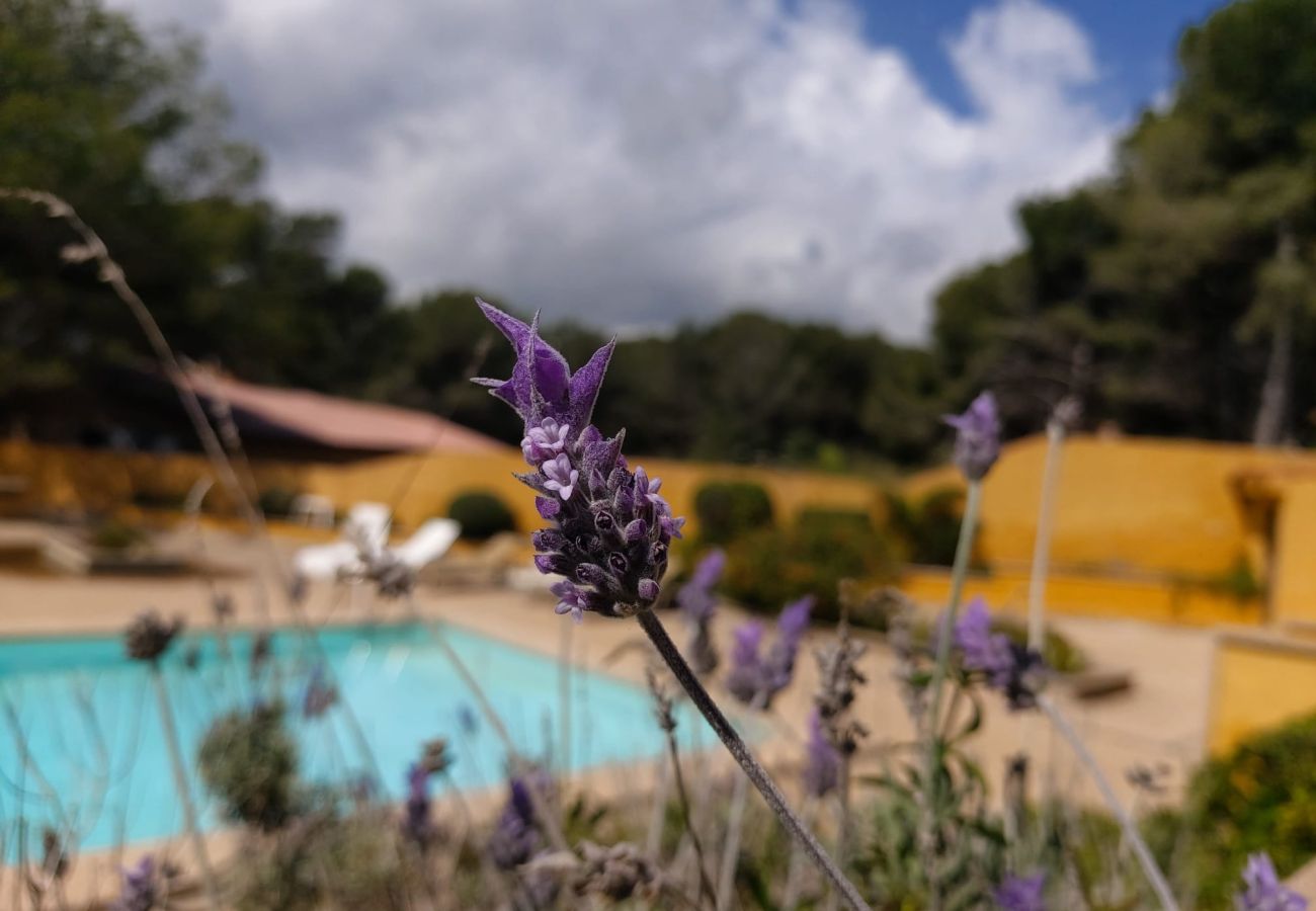 Apartment in Cala Mesquida - YourHouse Sol i Mar 1