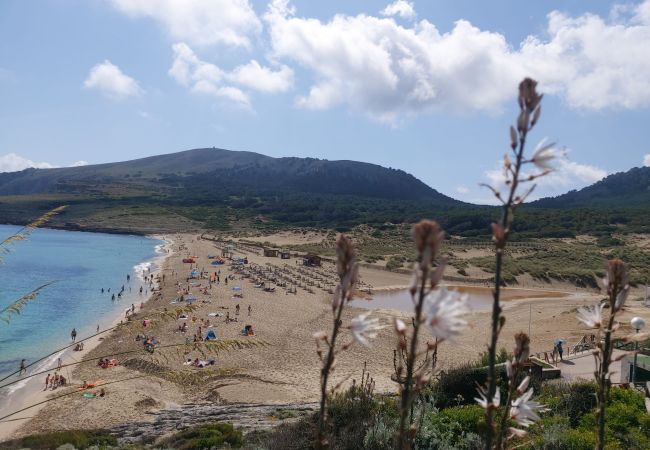 Apartment in Cala Mesquida - YourHouse Sol i Mar 2 Apartment in Cala Mesquida - YourHouse Sol i Mar 2