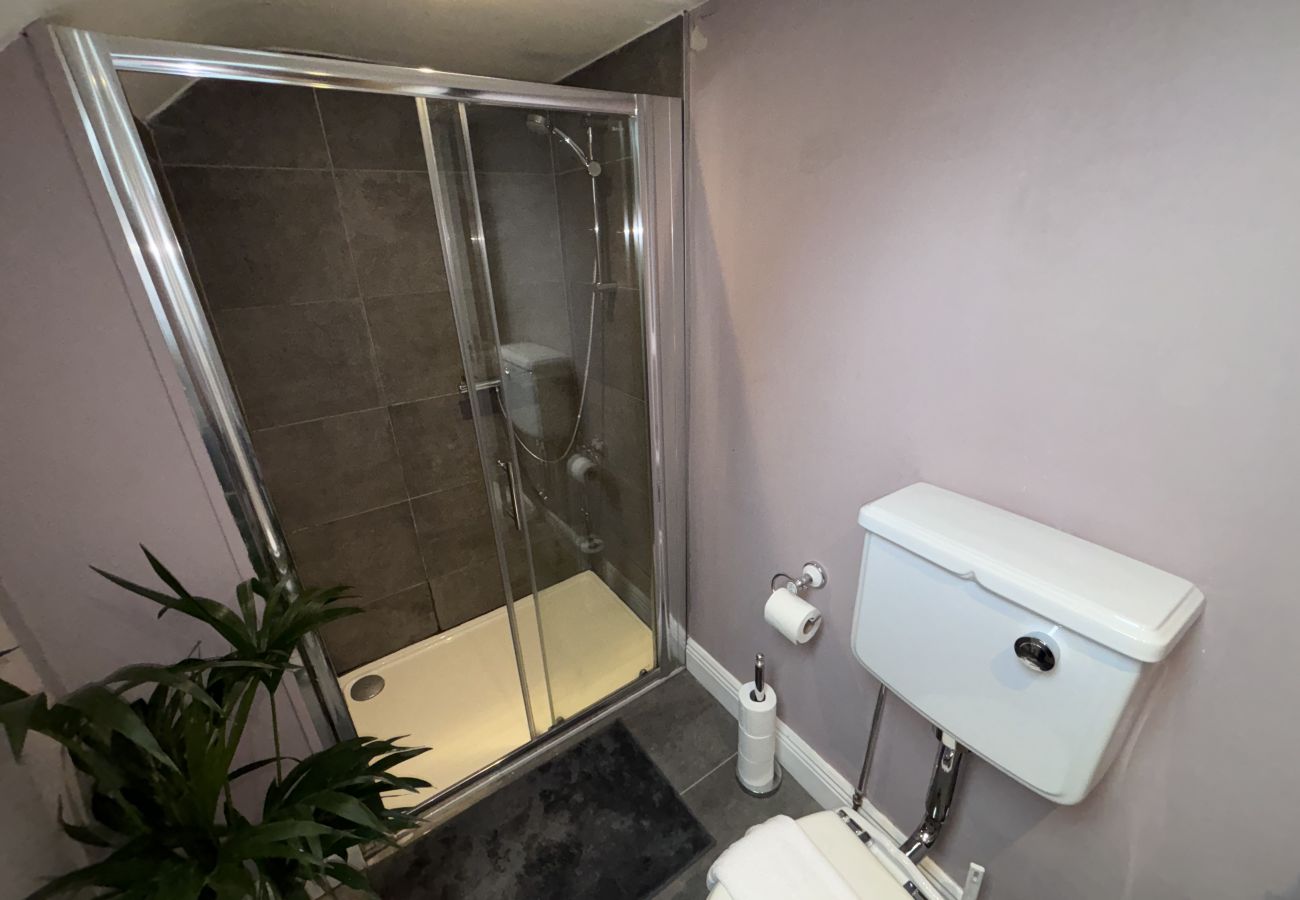 House in Dublin - Splendid Ranelagh Townhouse