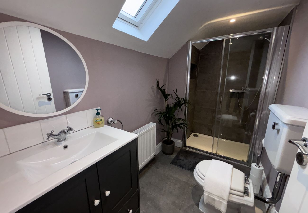 House in Dublin - Splendid Ranelagh Townhouse