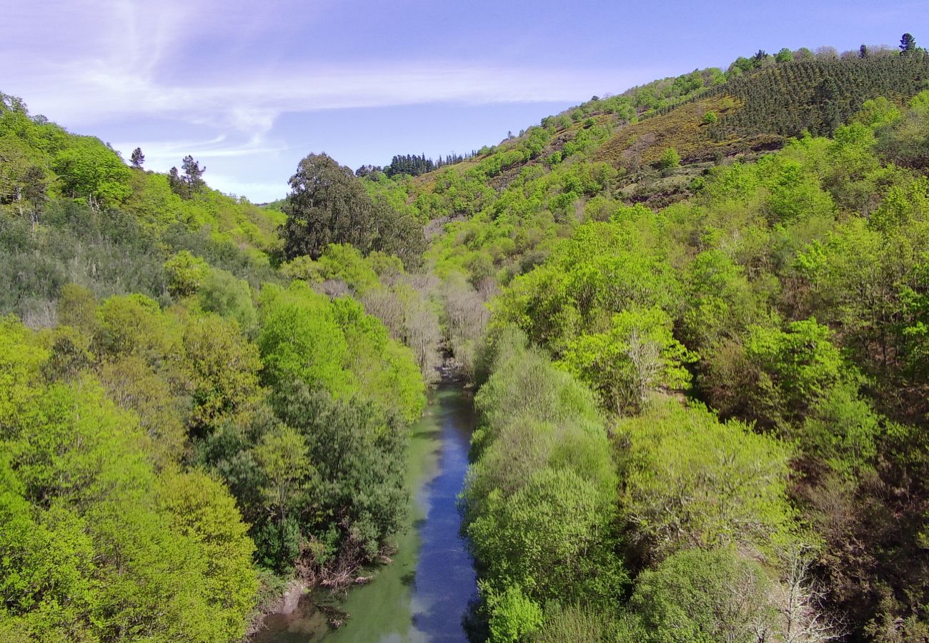 House in Ourense - YourHouse A Casa Da Corona, beautiful country house