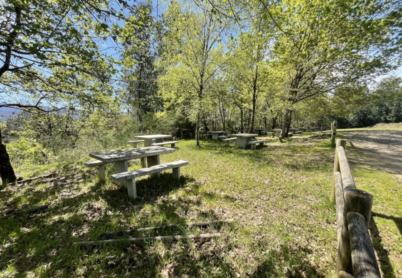 House in Ourense - YourHouse A Casa Da Corona, beautiful country house