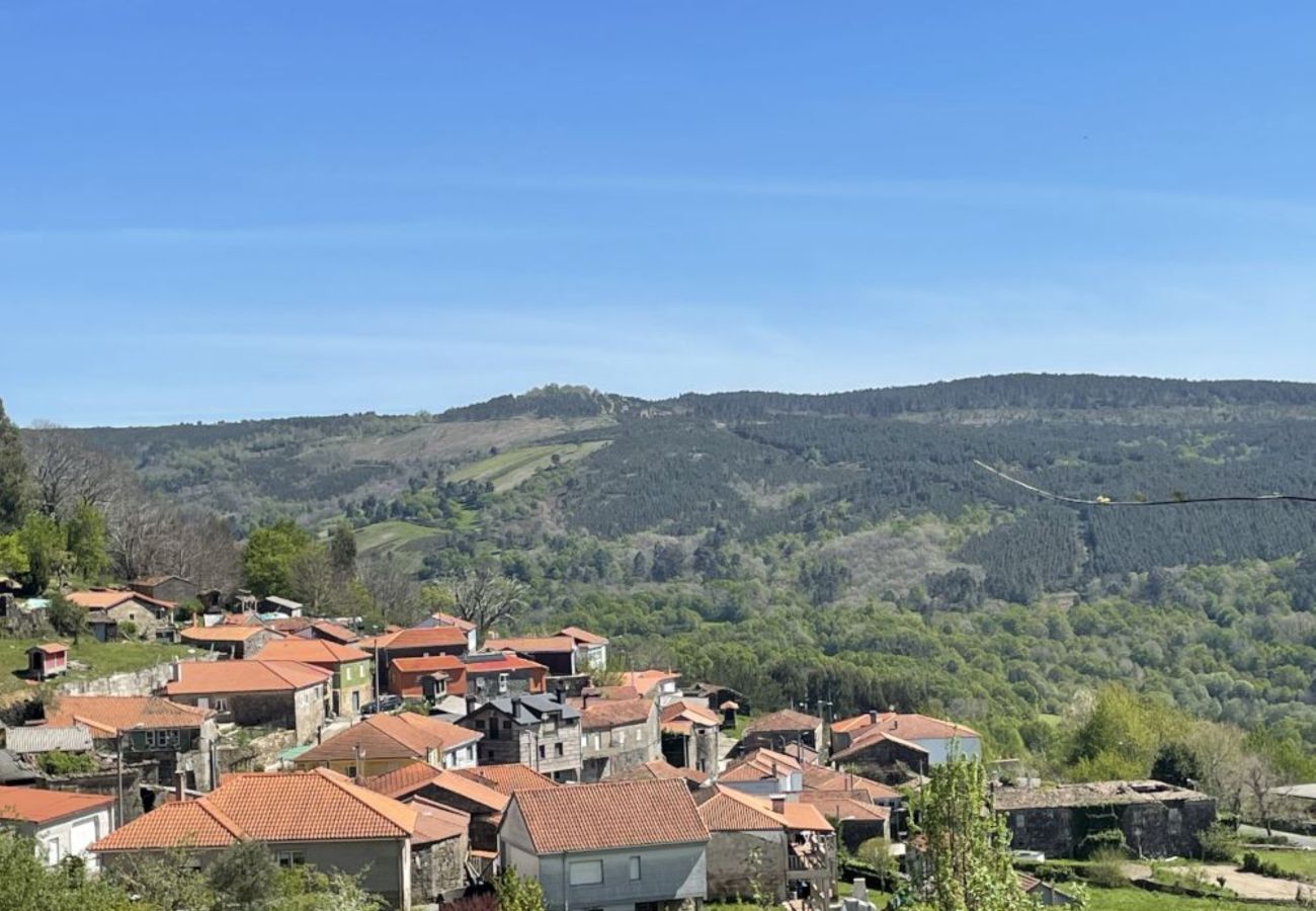 House in Ourense - YourHouse A Casa Da Corona, beautiful country house