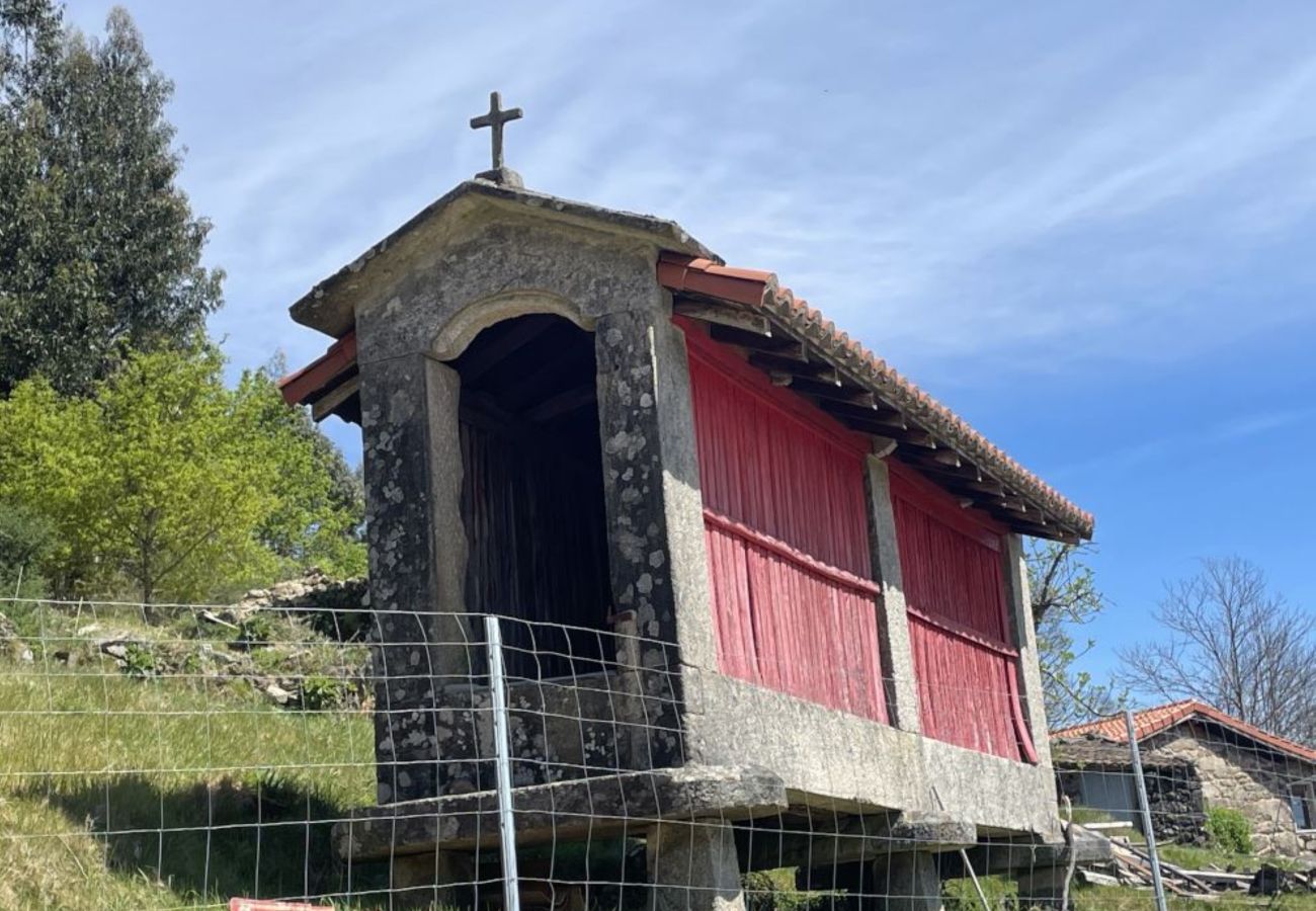 House in Ourense - YourHouse A Casa Da Corona, beautiful country house