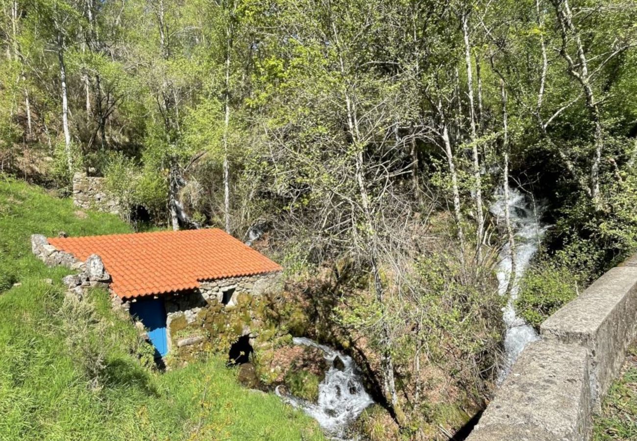 House in Ourense - YourHouse A Casa Da Corona, beautiful country house