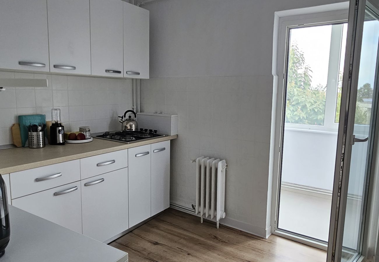 Apartment in Timisoara - Home and Travel 2BDR Apartment