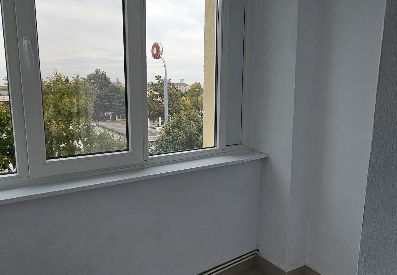 Apartment in Timisoara - Home and Travel 2BDR Apartment