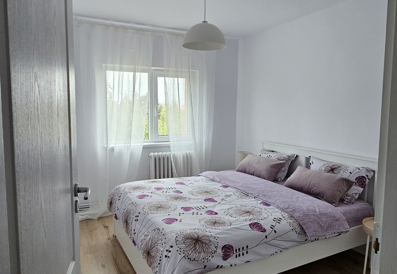 Apartment in Timisoara - Home and Travel 2BDR Apartment