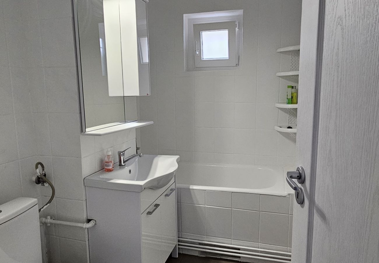 Apartment in Timisoara - Home and Travel 2BDR Apartment