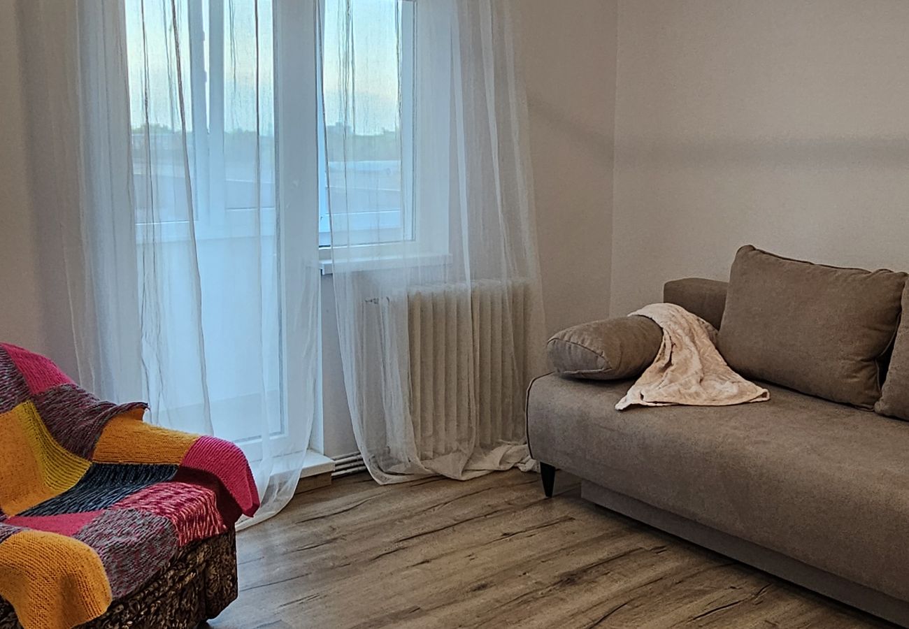 Apartment in Timisoara - Home and Travel 2BDR Apartment