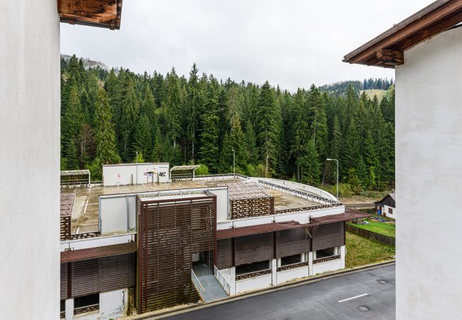 Studio in Predeal -  Alpin  Studio Clabucet 2 Studio in Predeal -  Alpin  Studio Clabucet 2