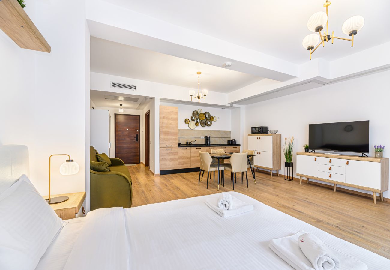 Studio in Predeal -  Alpin  Studio Clabucet 2