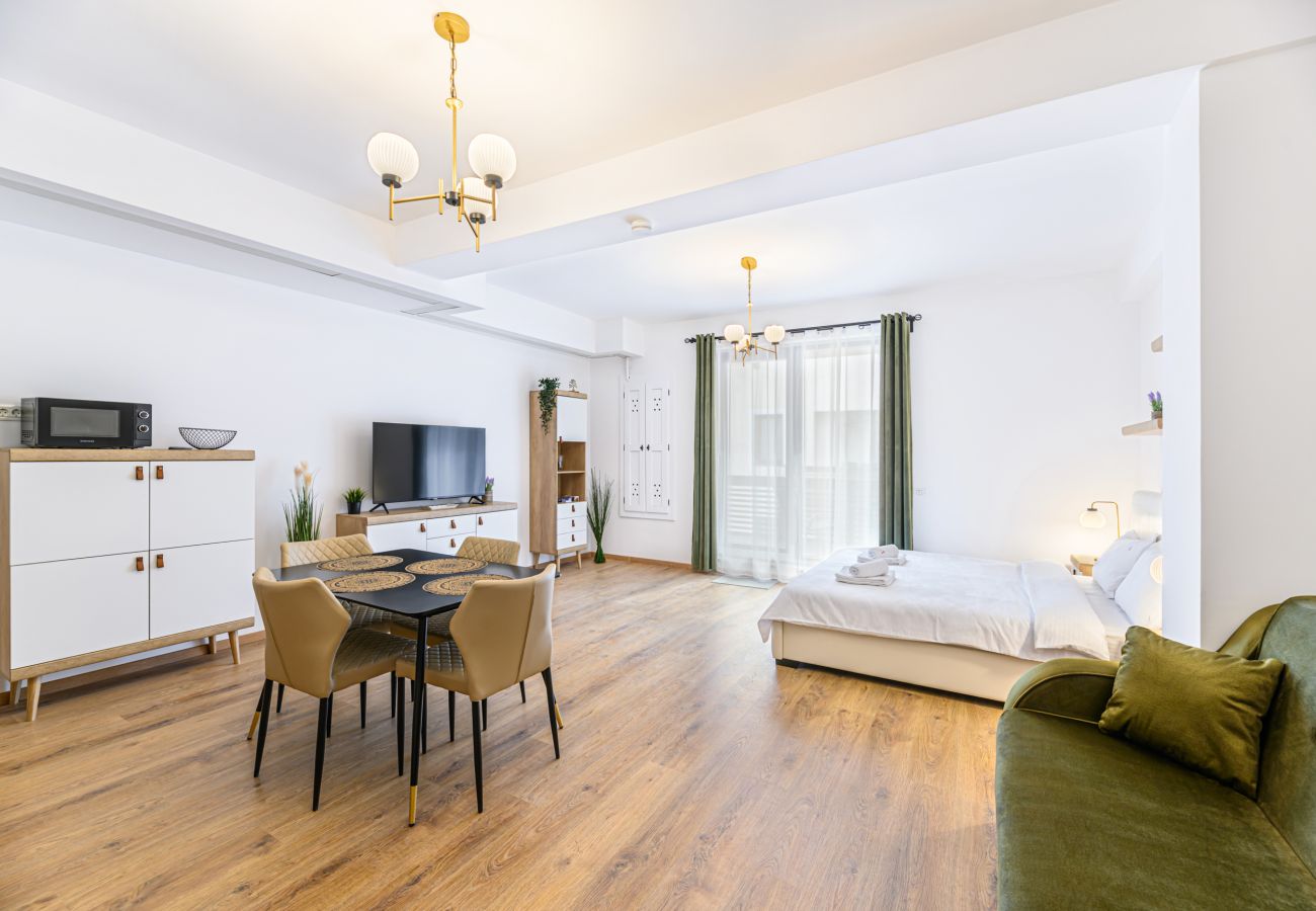 Studio in Predeal -  Alpin  Studio Clabucet 2