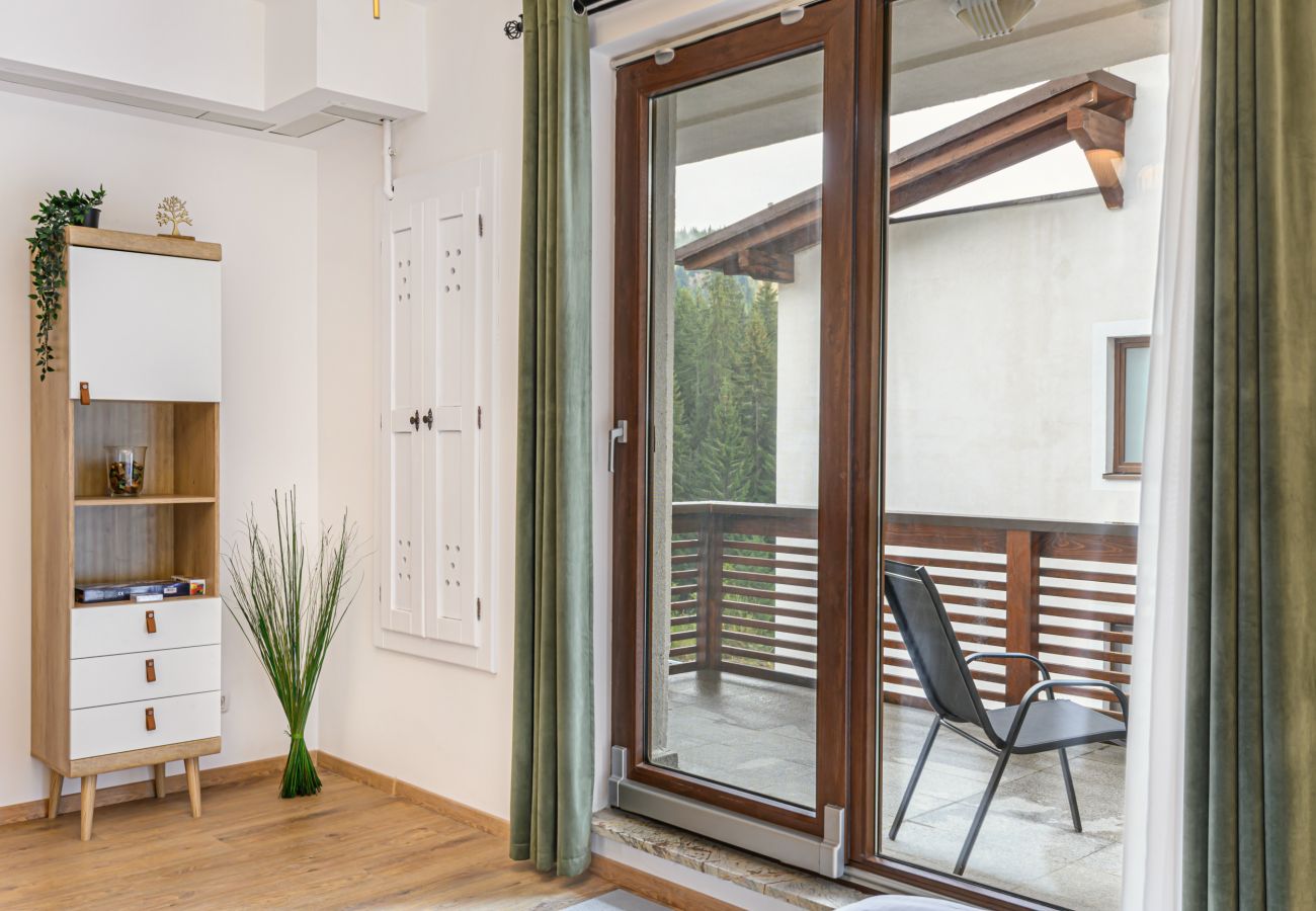 Studio in Predeal -  Alpin  Studio Clabucet 2