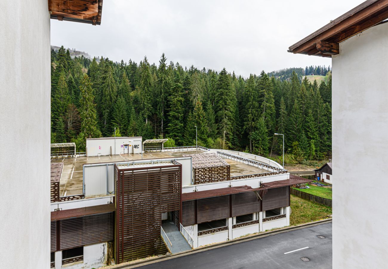 Studio in Predeal -  Alpin  Studio Clabucet 2
