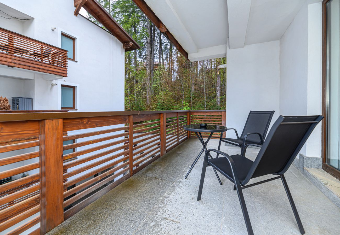 Studio in Predeal -  Alpin  Studio Clabucet 2