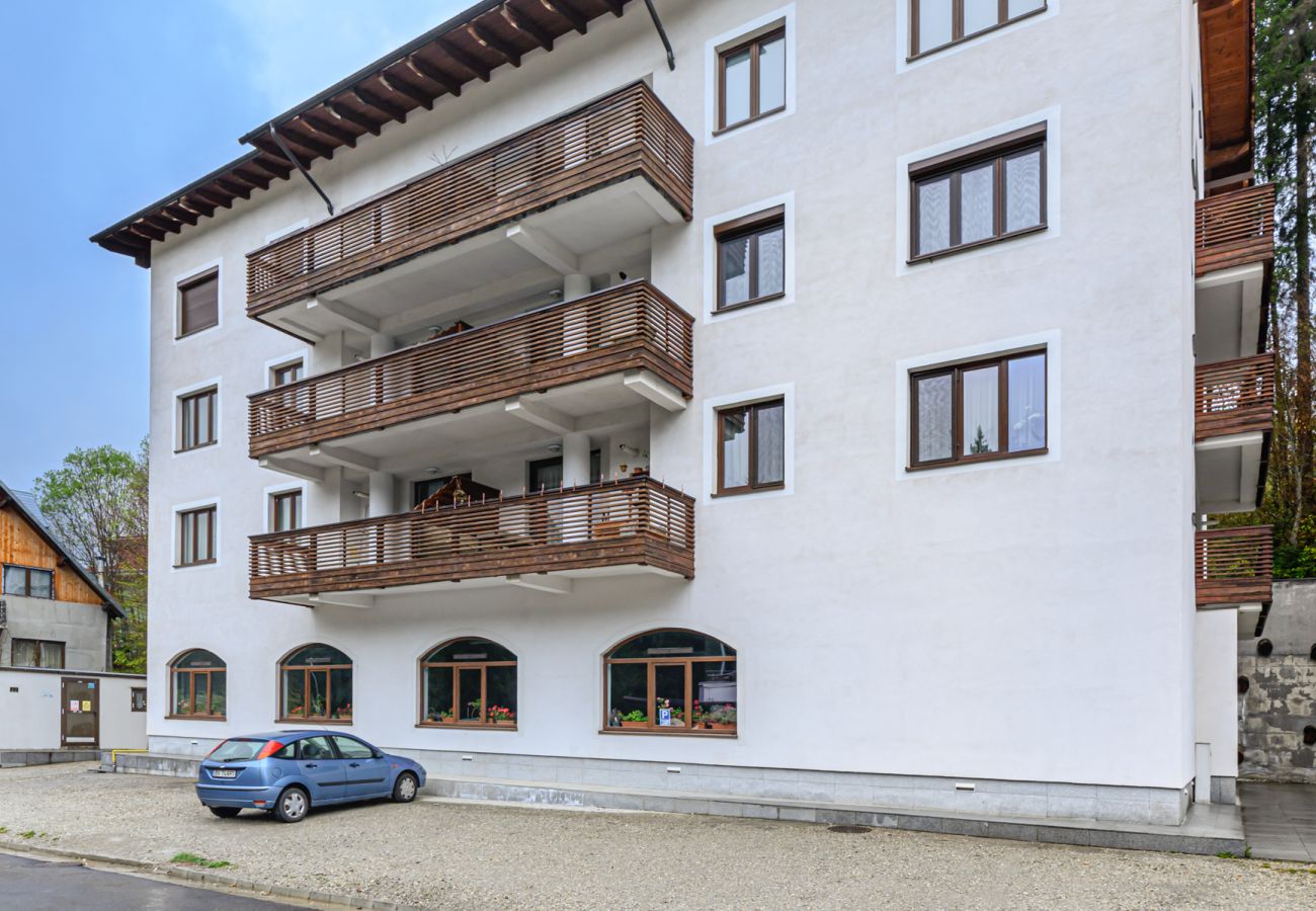 Studio in Predeal -  Alpin  Studio Clabucet 2