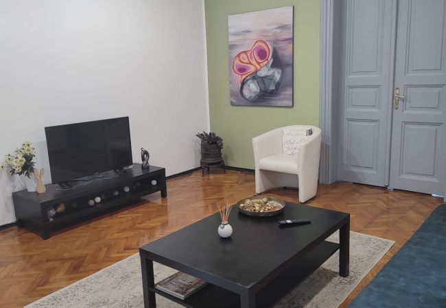Apartment in Timisoara - Apartment 1BDR in Marschall Palace