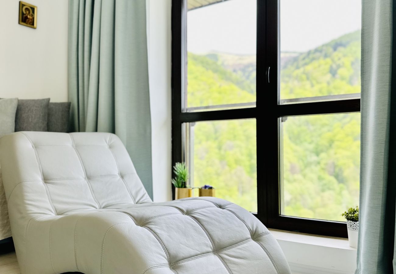 Apartment in Sinaia - SKY IS THE LIMIT