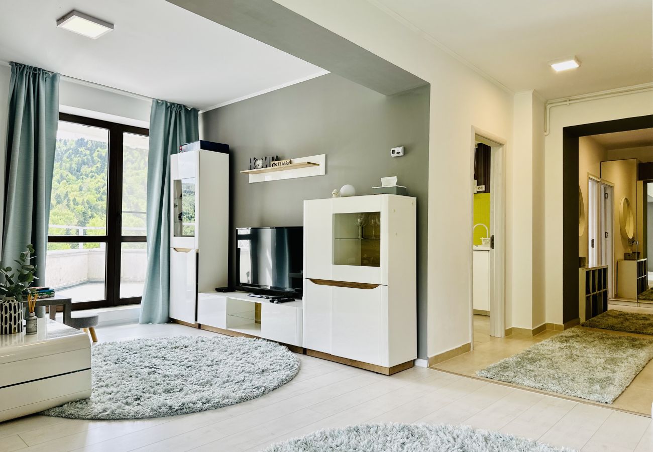 Apartment in Sinaia - SKY IS THE LIMIT
