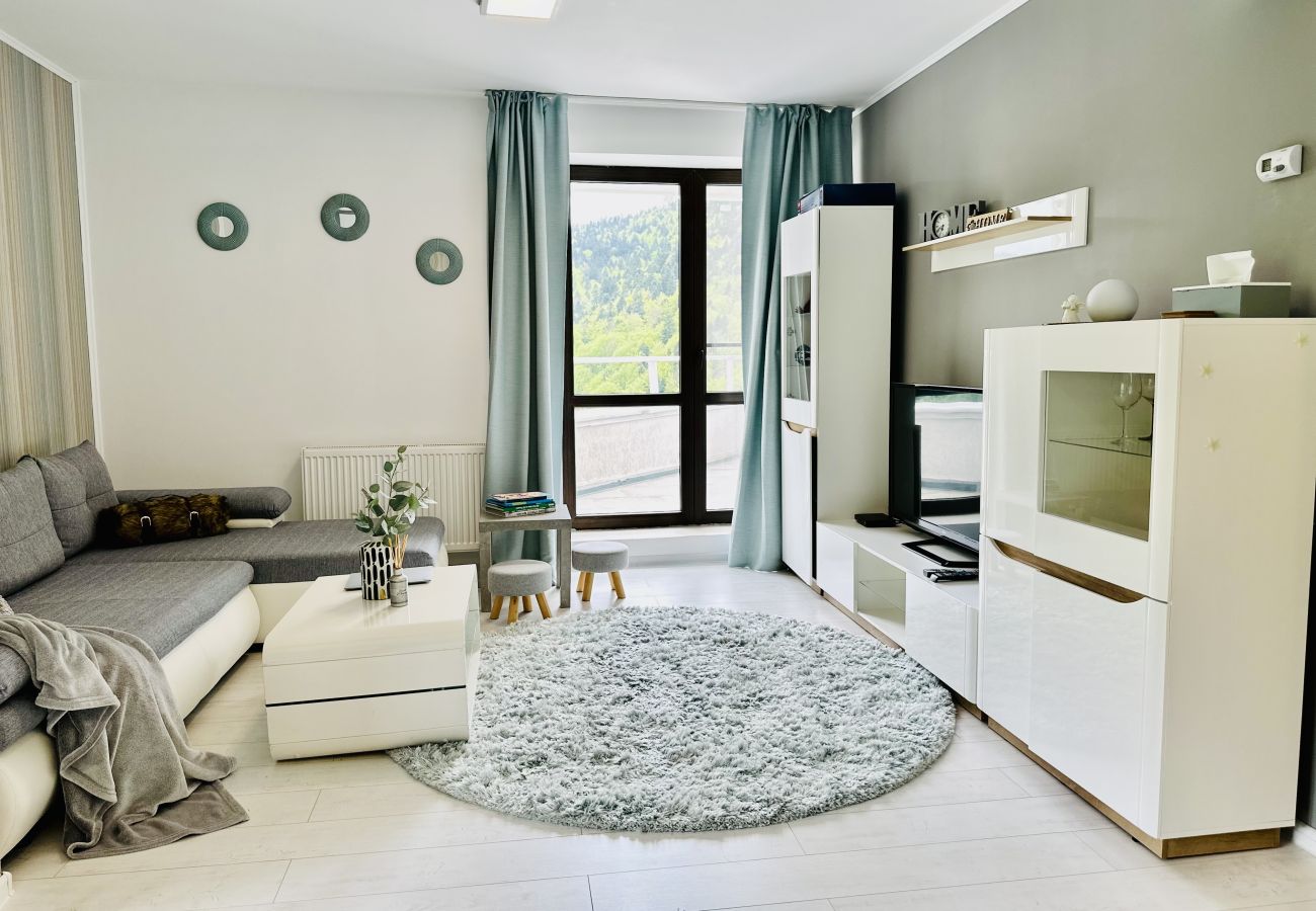 Apartment in Sinaia - SKY IS THE LIMIT