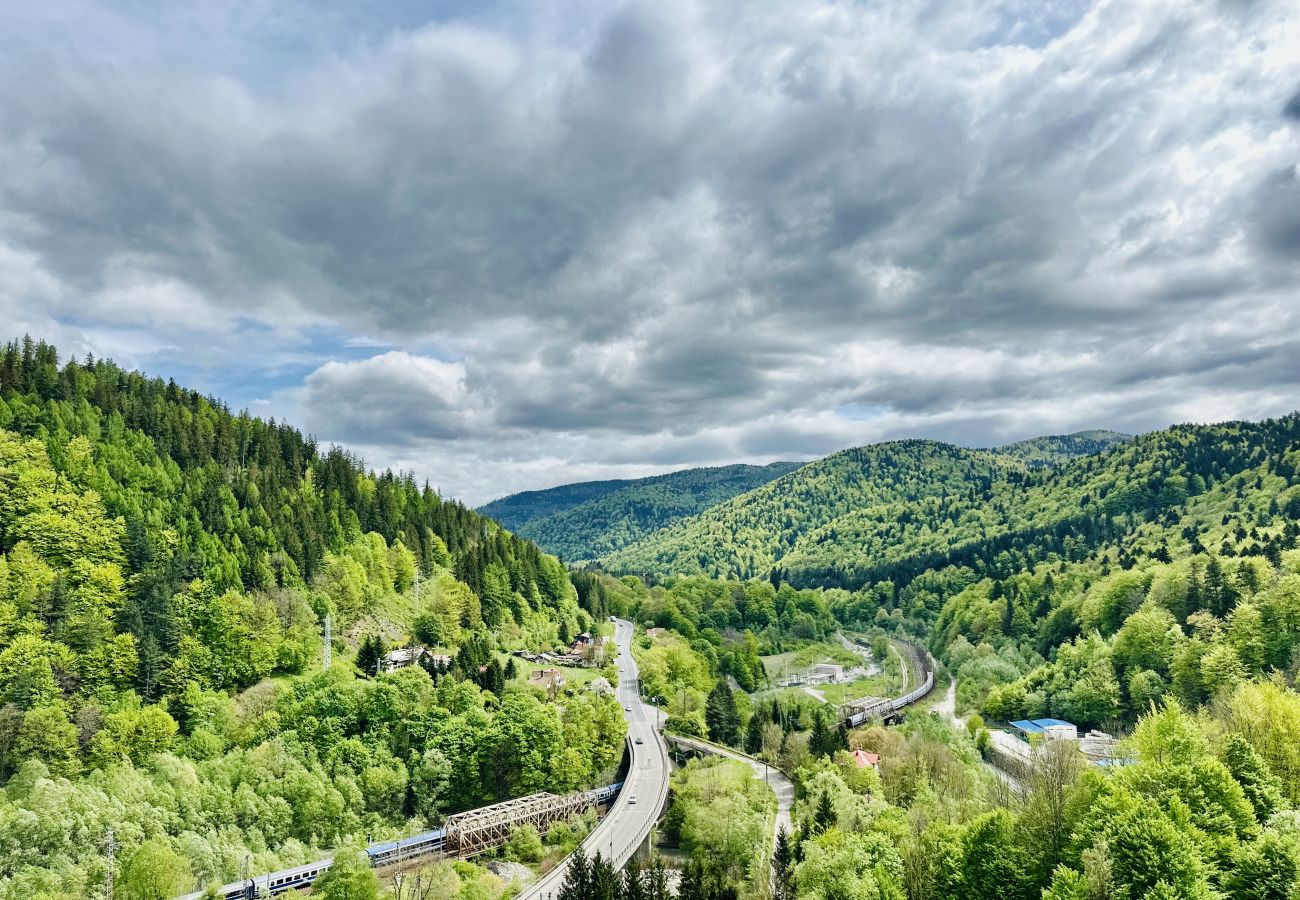 Apartment in Sinaia - SKY IS THE LIMIT