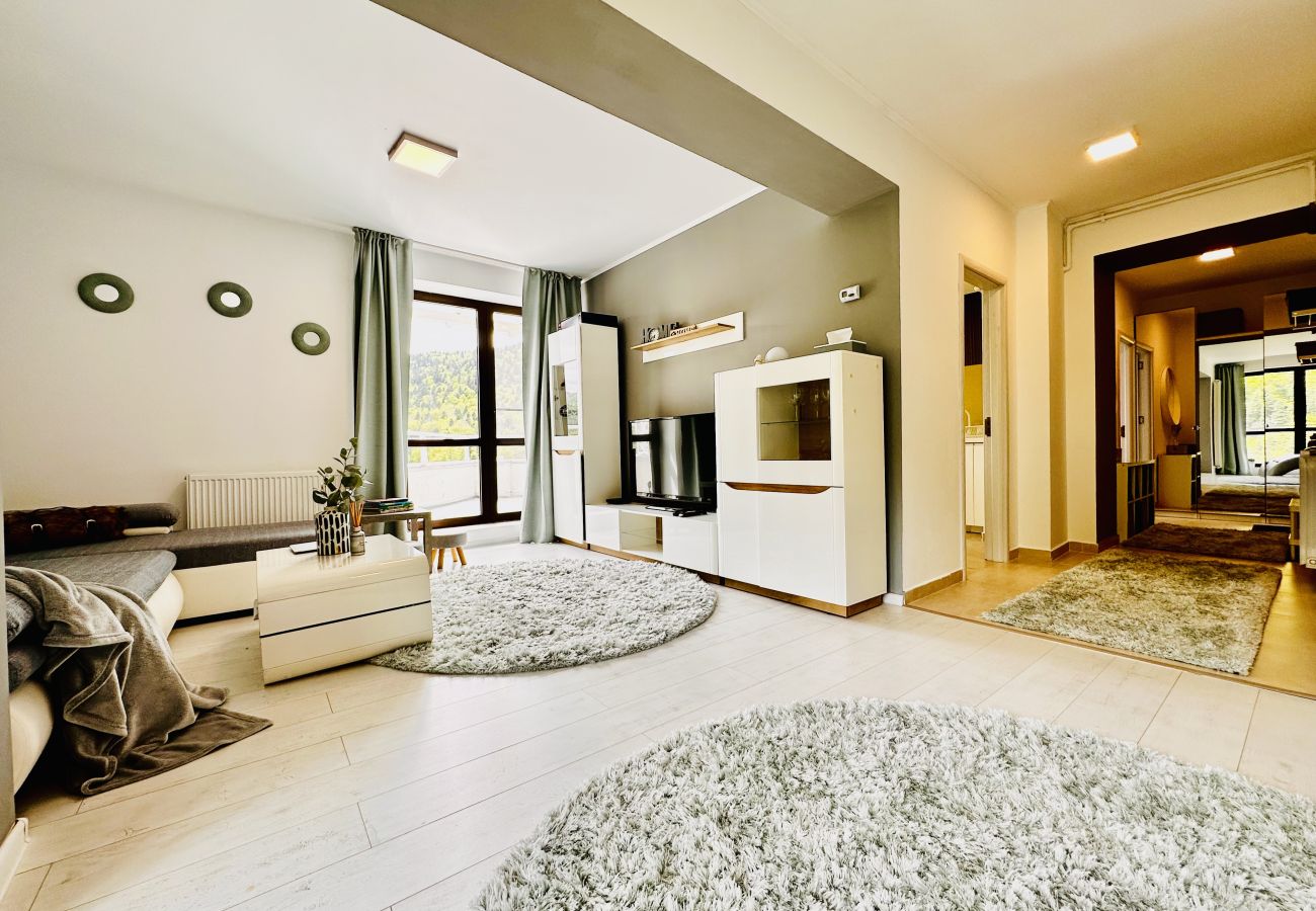 Apartment in Sinaia - SKY IS THE LIMIT
