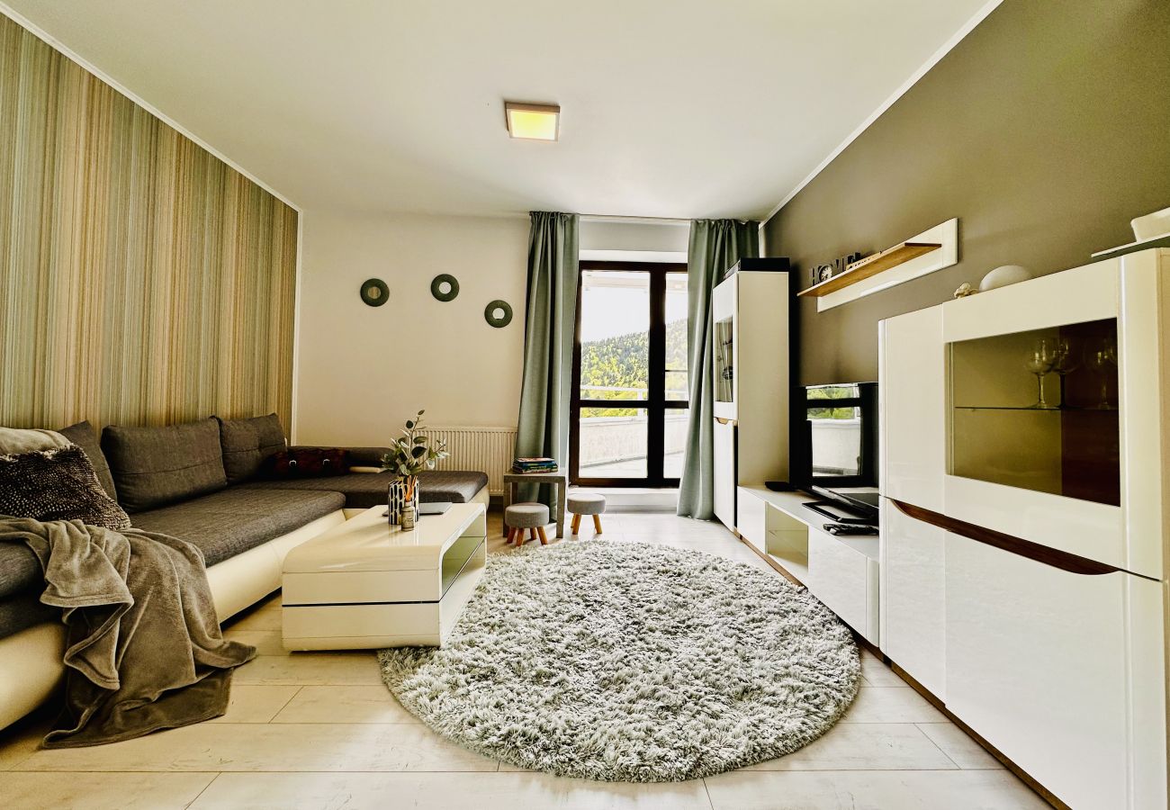 Apartment in Sinaia - SKY IS THE LIMIT