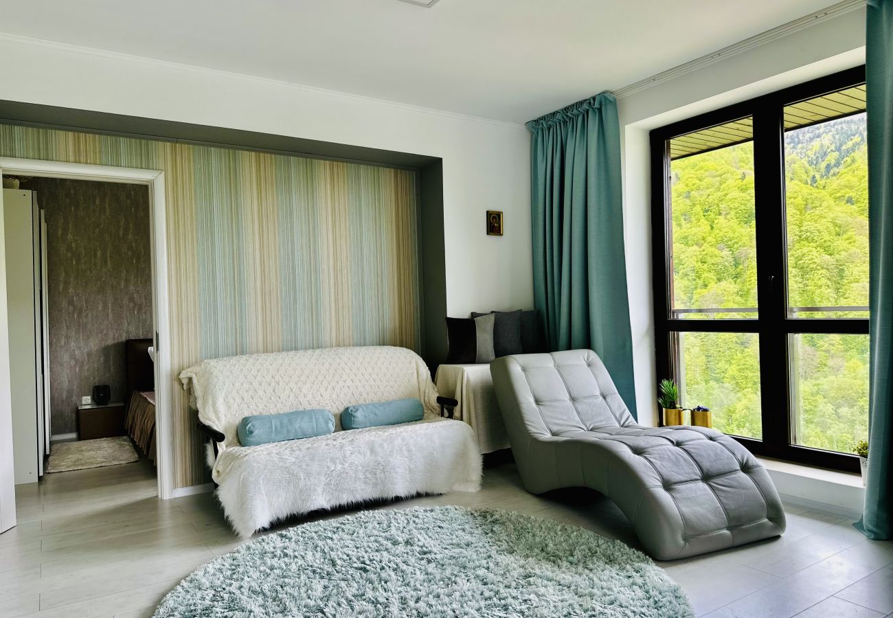 Apartment in Sinaia - SKY IS THE LIMIT