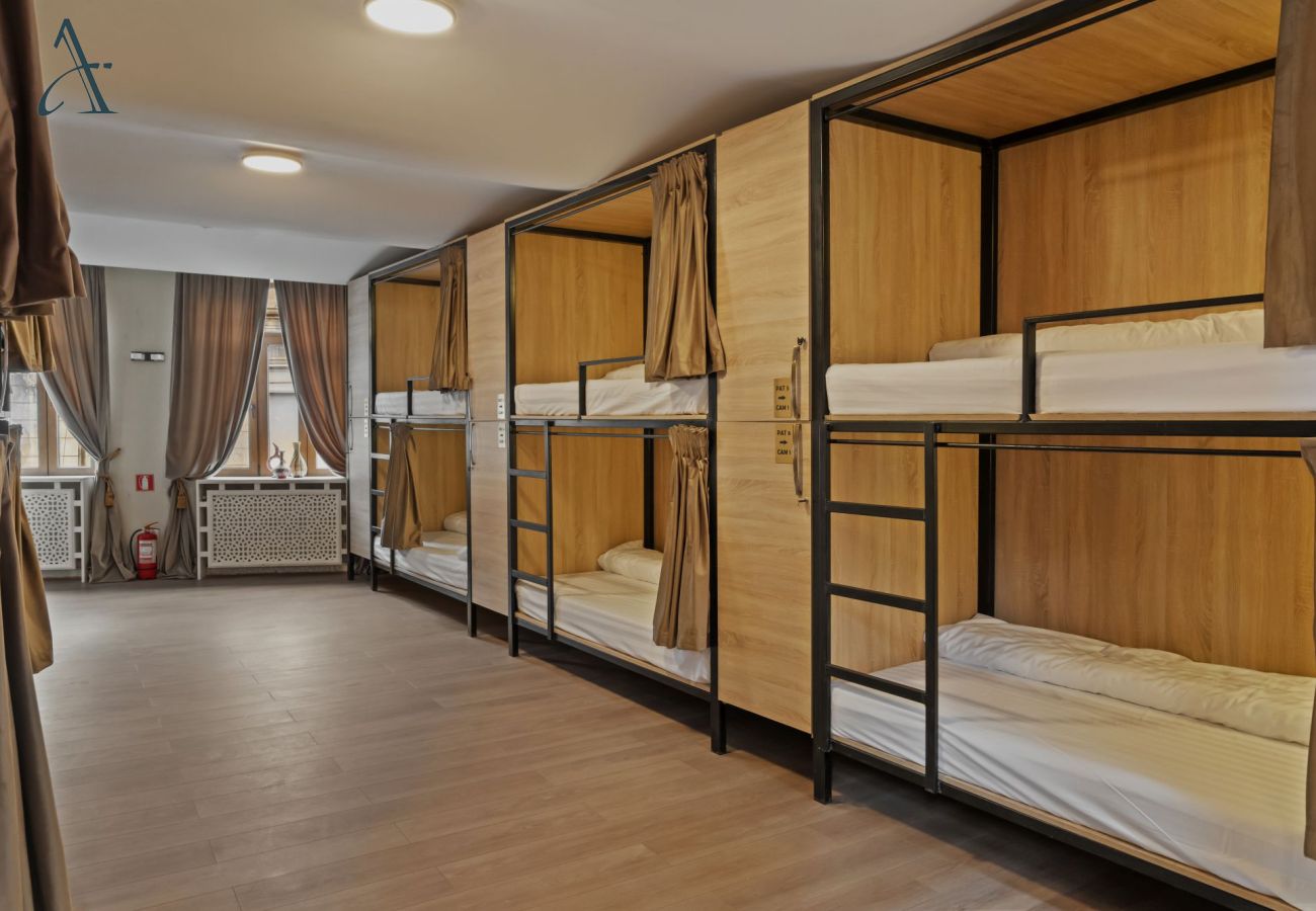 Residence in Bucharest - Ramana Hostel The Urban Twelve