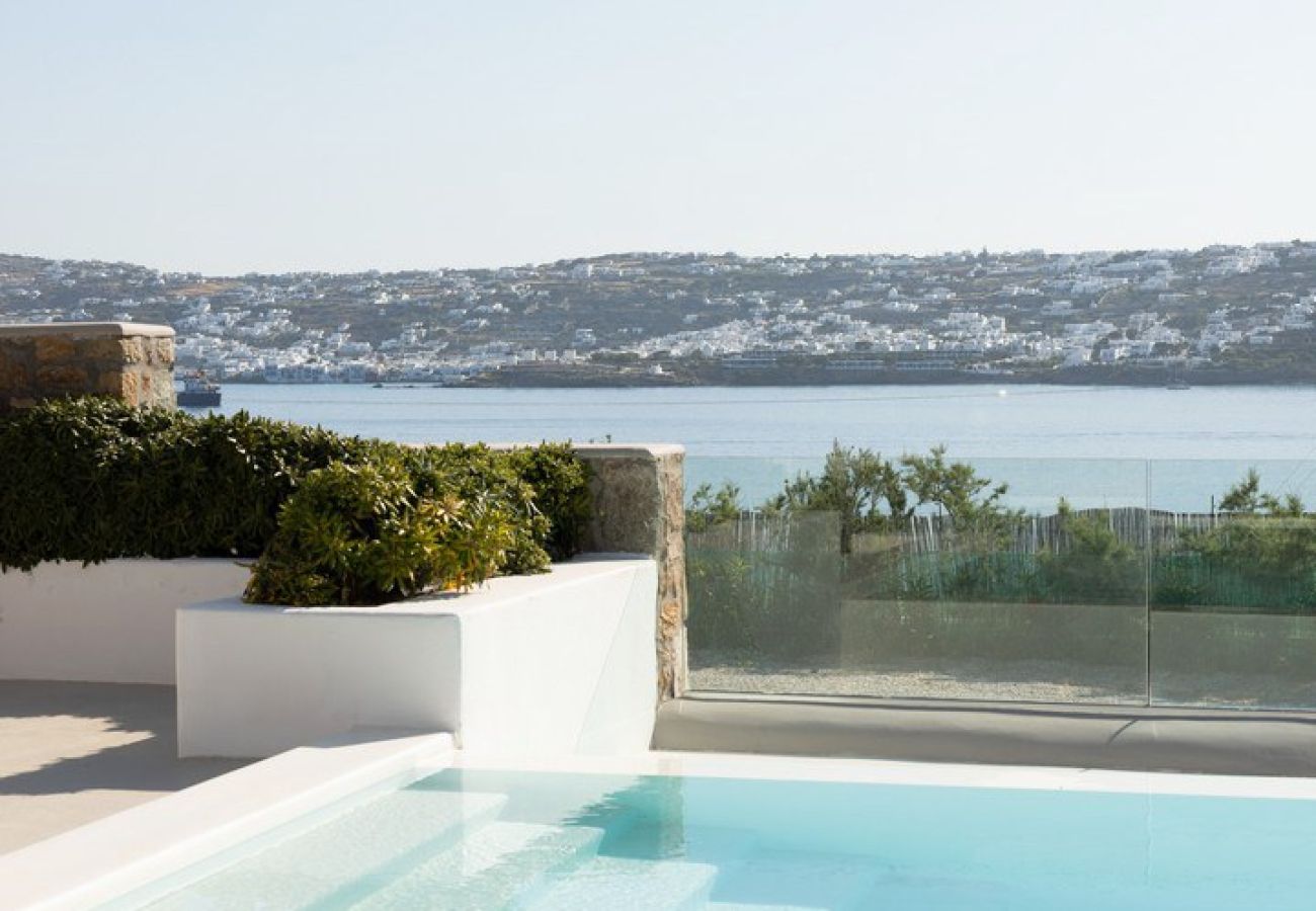 House in Mykonos - Amaris (2AB Seaside)