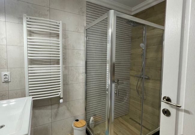 Apartment in Suceava - Elegant  Zamca  Apartment Apartment in Suceava - Elegant  Zamca  Apartment